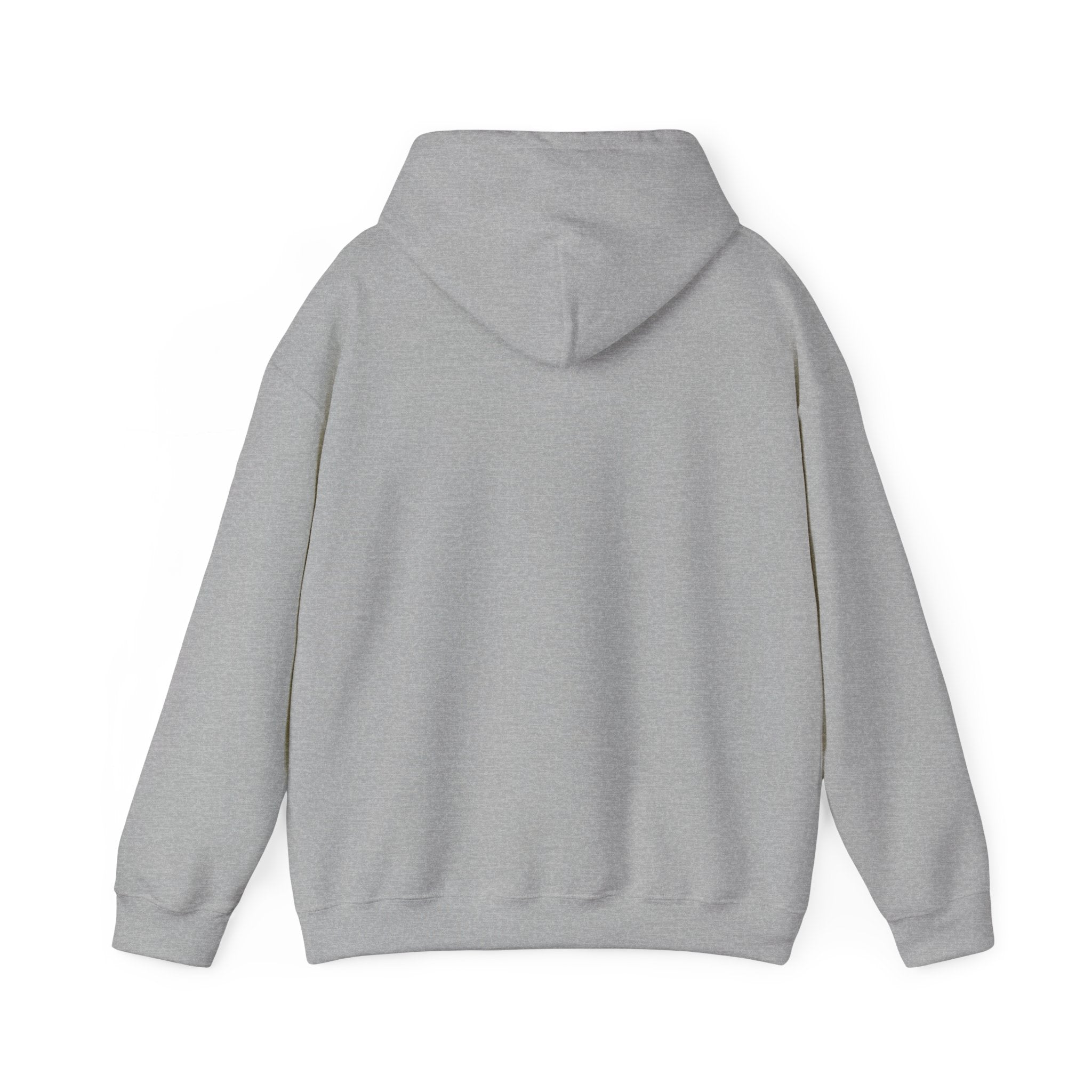 A Woman's Place Is In The Game Hoodie | Women's Sports Fandom