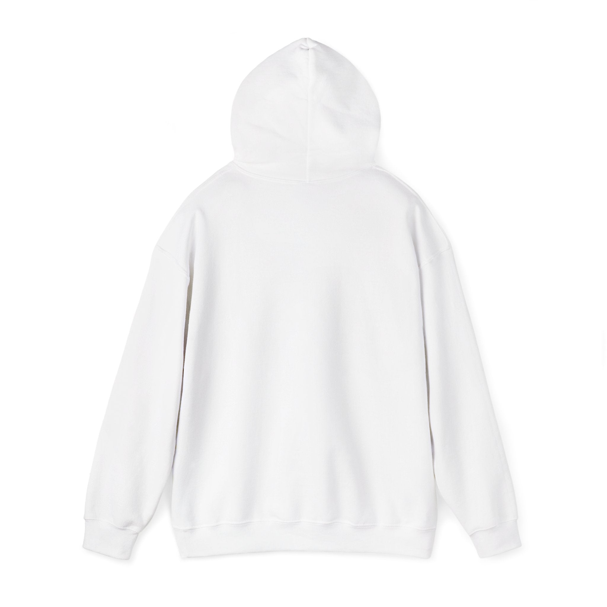 Ro! Ro! Ro! Viking Ship Hoodie | Norway Football Supporter, Red White Blue