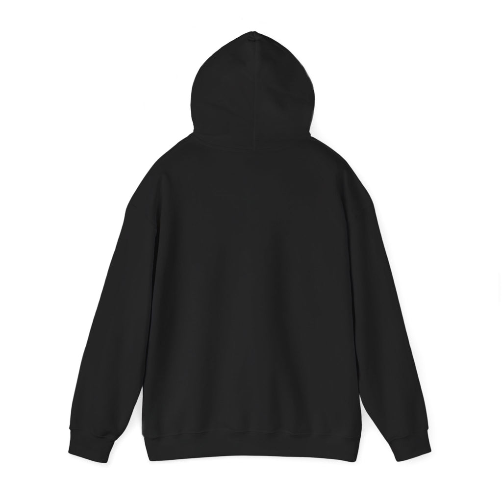 A Woman's Place Is In The Game Hoodie | Women's Sports Fandom