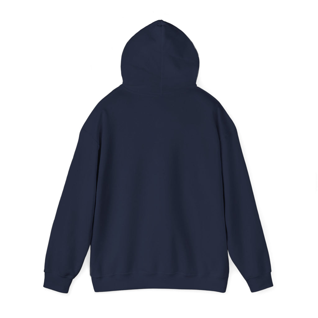 A Woman's Place Is In The Game Hoodie | Women's Sports Fandom