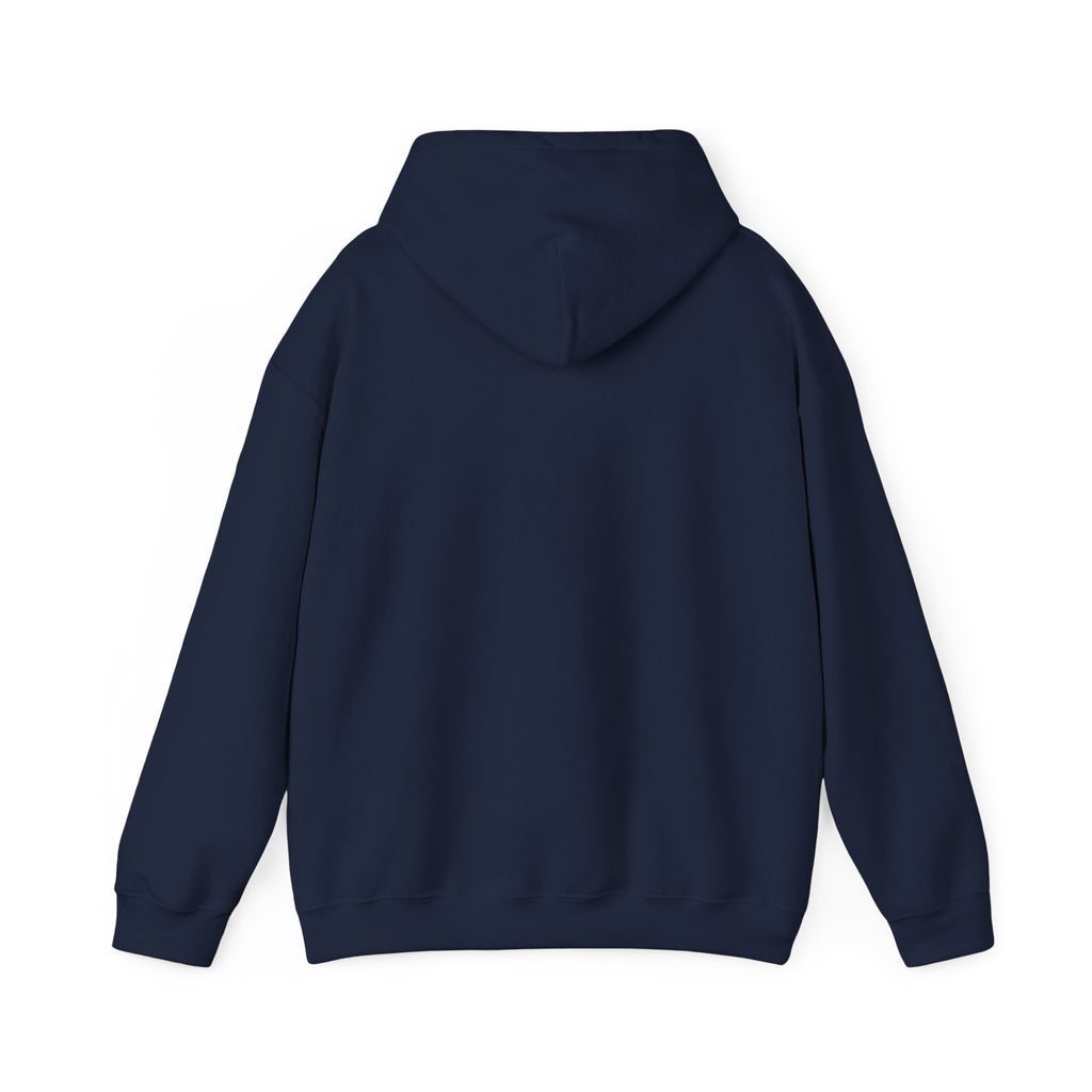 Vai Brasil Hoodie | Brazil Soccer Pride, National Flag Colors