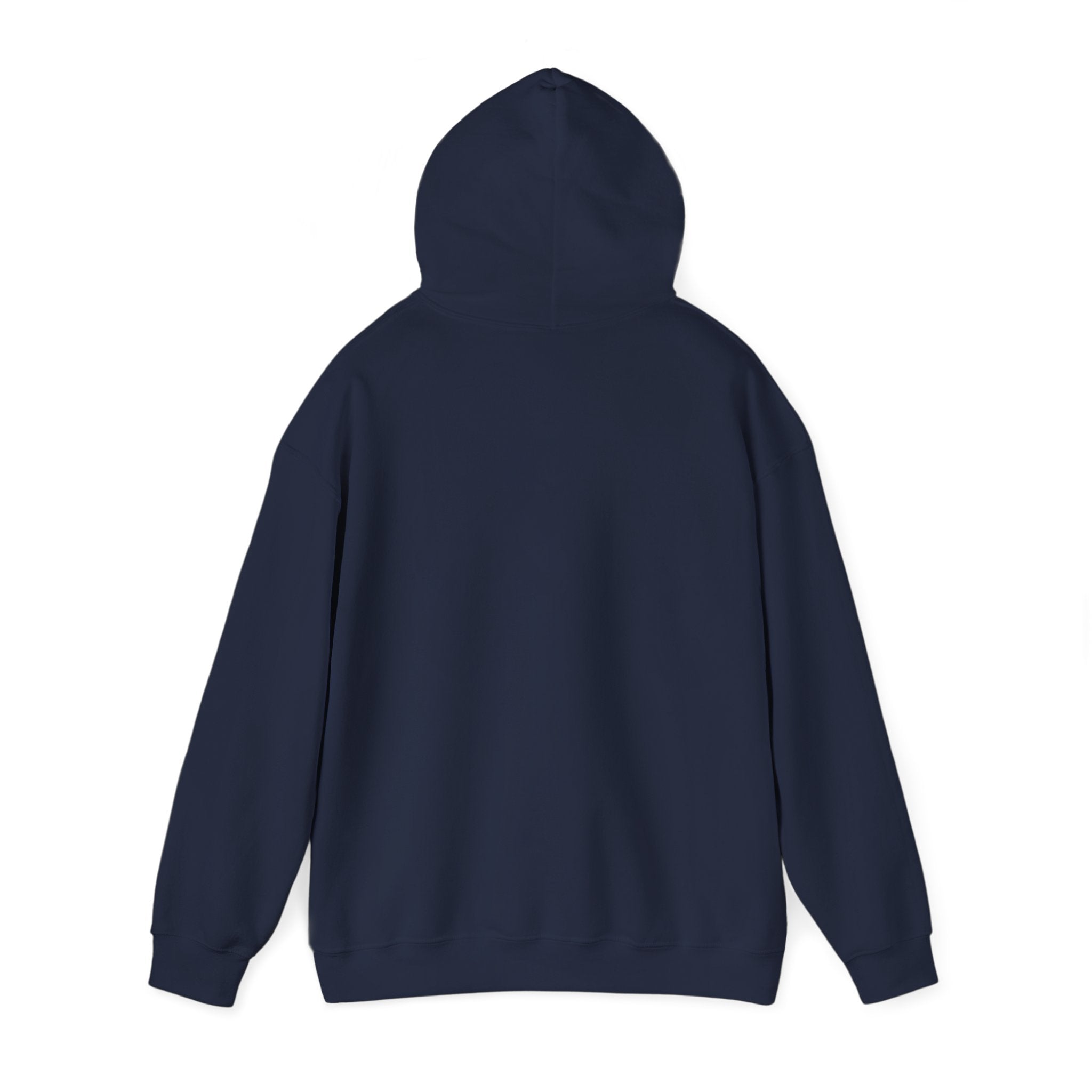 Argentina Futbol Crest Hoodie | Soccer Country Pride, National Colors