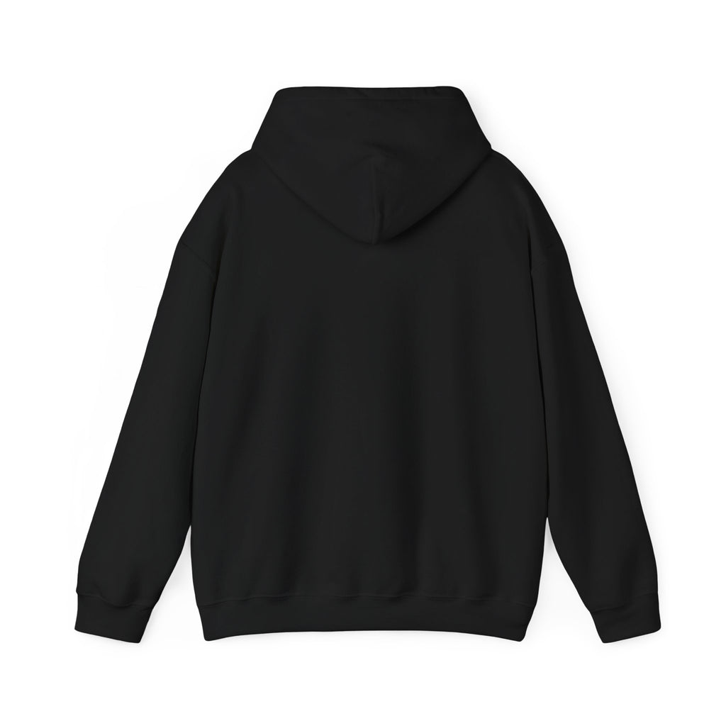 A Woman's Place Is In The Game Hoodie | Women's Sports Fandom