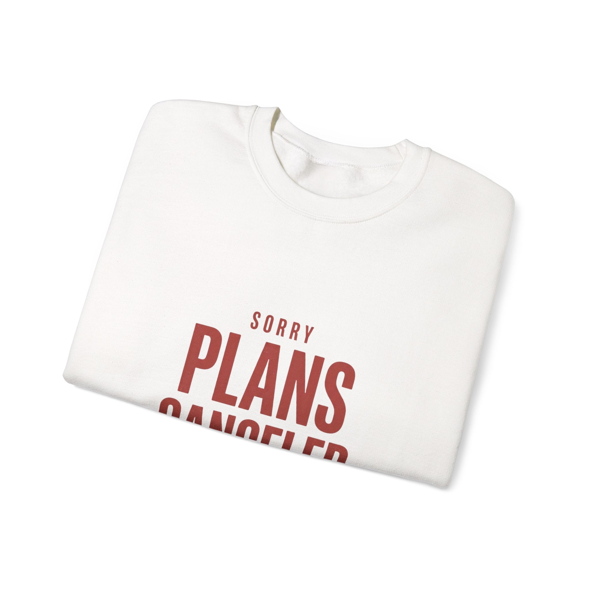 Plans Canceled Sweatshirt | Women's Sports Fandom, Game Day Crewneck